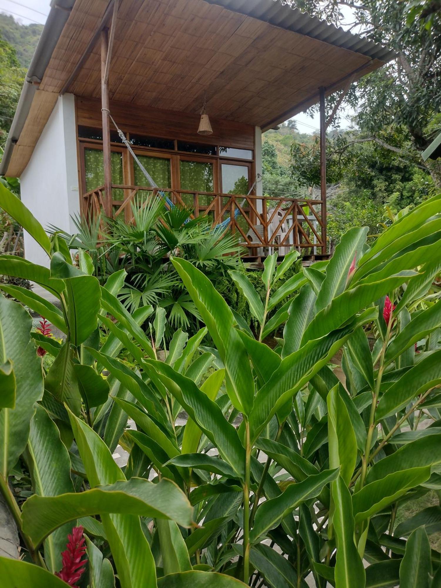 埃尔扎伊诺Casa Kumake Tayrona别墅 外观 照片