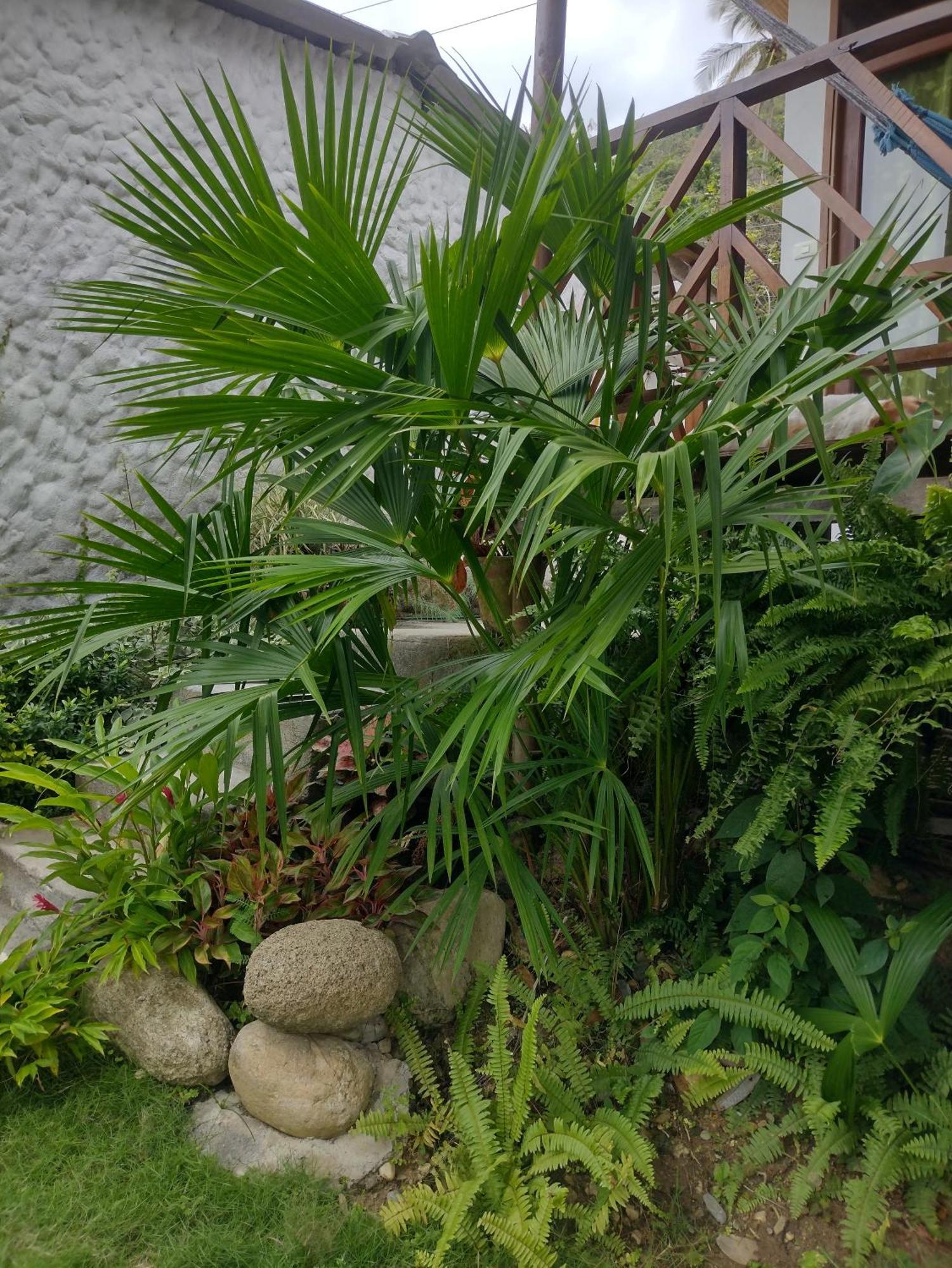 埃尔扎伊诺Casa Kumake Tayrona别墅 外观 照片