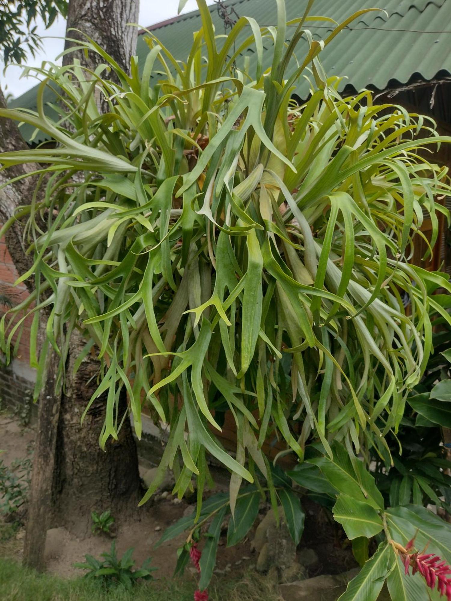 埃尔扎伊诺Casa Kumake Tayrona别墅 外观 照片